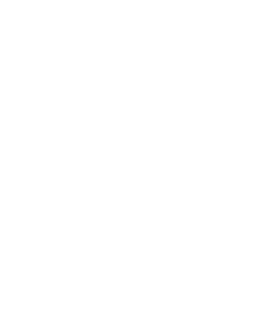 Silk Road Digital Solutions